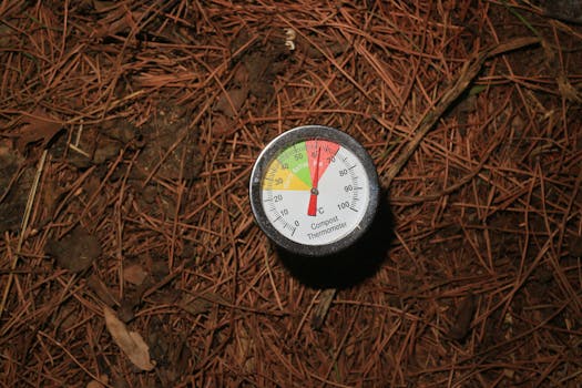 Revolutionizing Agriculture: How Digital Tools Shape Sustainable Farming