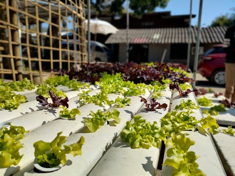 Innovating for Tomorrow: The Evolution of America’s Agricultural Communities