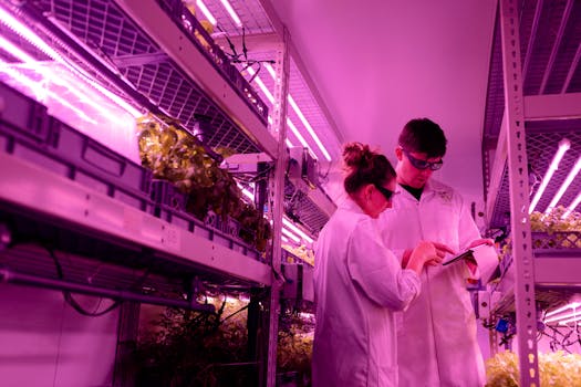 Innovative Tech Transforming Agriculture for a Sustainable Future