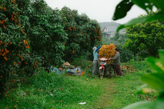 Mastering Agricultural Marketing: Boosting Success for Farmers Today